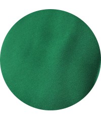 Paisley con Verde Liso